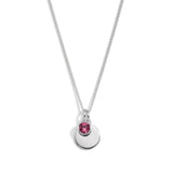 Silver Crystal Birthstone Necklace