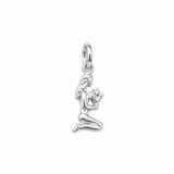 Sculptured Zodiac Charm In Silver