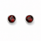 Silver Crystal Birthstone Earrings