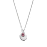 Silver Crystal Birthstone Necklace