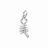 Sculptured Zodiac Charm In Silver