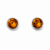 Silver Crystal Birthstone Earrings
