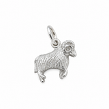 Sculptured Zodiac Charm In Silver
