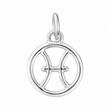 Zodiac Charm In Silver