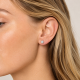 Silver Crystal Birthstone Earrings