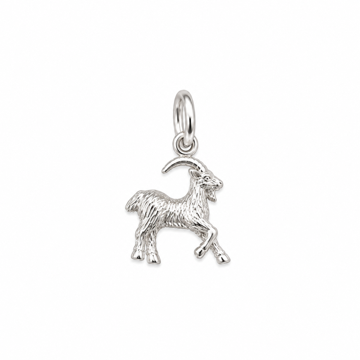 Sculptured Zodiac Charm In Silver