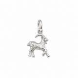Sculptured Zodiac Charm In Silver