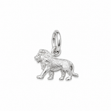 Sculptured Zodiac Charm In Silver