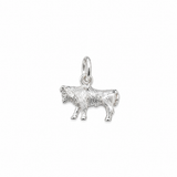 Sculptured Zodiac Charm In Silver