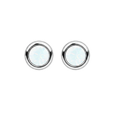 Silver Crystal Birthstone Stud Earrings