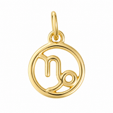 Zodiac Charm In Yellow Gold Vermeil