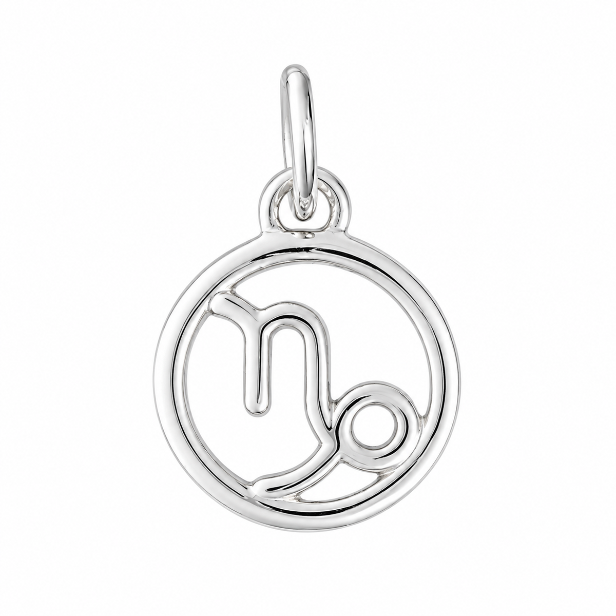 Zodiac Charm In Silver