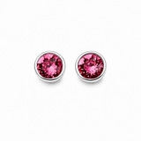 Silver Crystal Birthstone Earrings