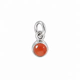Small Birthstone Silver Charm