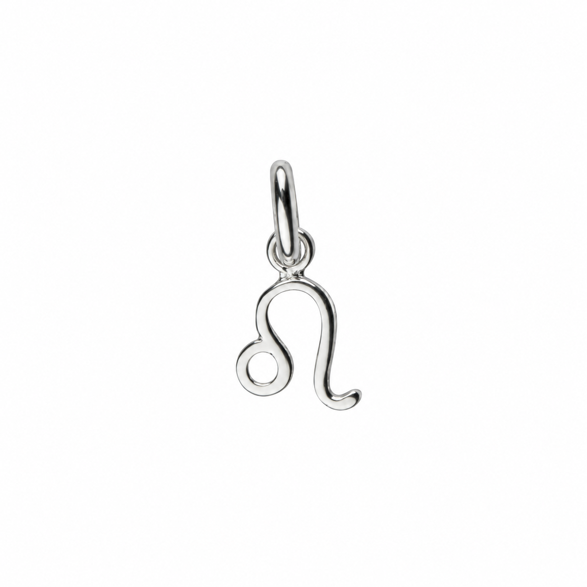 Zodiac Sign Charm In Silver