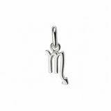 Zodiac Sign Charm In Silver