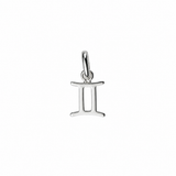Zodiac Sign Charm In Silver
