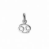 Zodiac Sign Charm In Silver