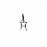 Zodiac Sign Charm In Silver
