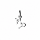 Zodiac Sign Charm In Silver
