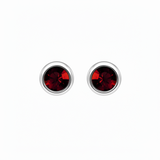 Silver Crystal Birthstone Stud  Earrings