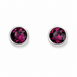Silver Crystal Birthstone Earrings