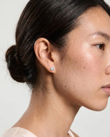 Silver Crystal Birthstone Earrings