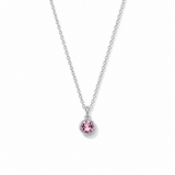 Silver Crystal Charm Birthstone Necklace