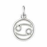 Zodiac Charm In Silver