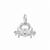 Sculptured Zodiac Charm In Silver
