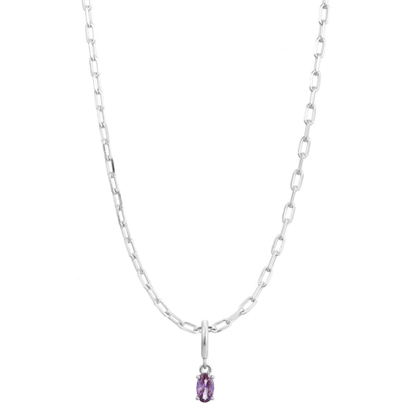 Silver Birthstone Paperclip Charm Necklace