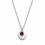 Silver Crystal Birthstone Necklace