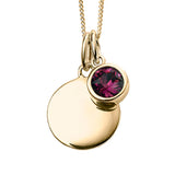 Gold Crystal Birthstone Necklace