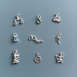 Sculptured Zodiac Charm In Silver