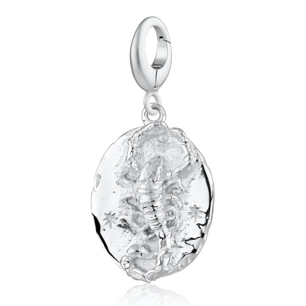 Silver Zodiac Charm - Lobster Clasp