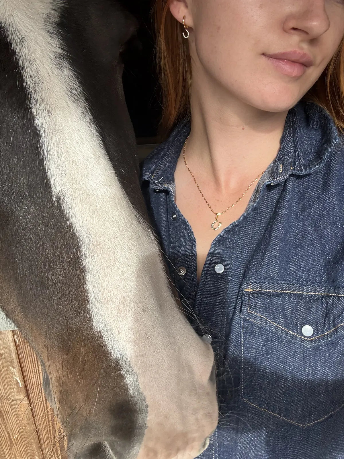 Horseshoe gold necklace and horseshoe huggie hoops worn with a denim shirt beside a horse